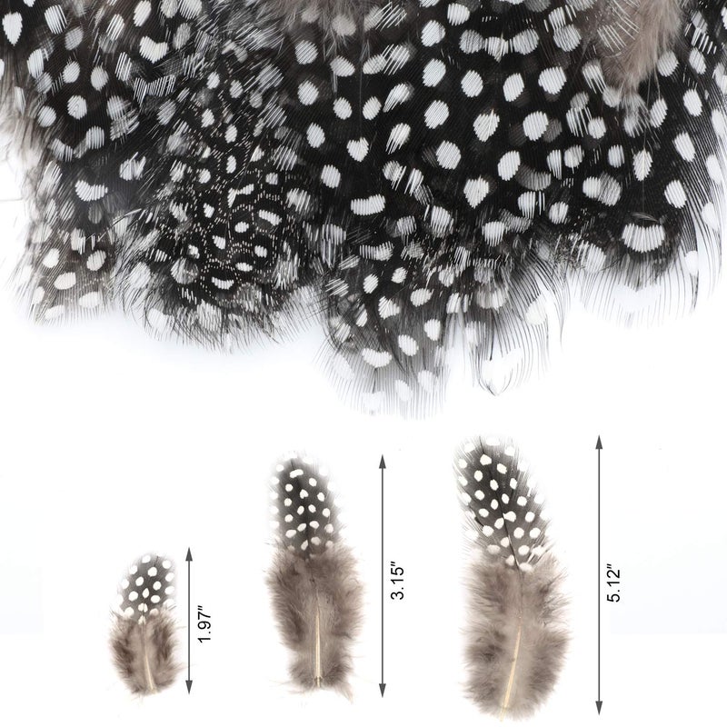 MWOOT 300PCS Spotted Chicken Feathers Natural Pheasant Plumage Feathers for DIY Crafts, Clothing, Jewelry, Wedding, Birthday Party, Dream Catcher Decoration - Image 3